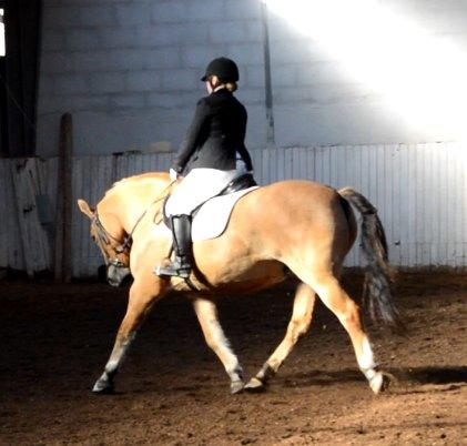 Anden særlig race Lukas - stævne billede 12