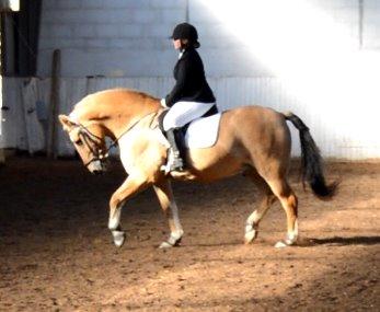 Anden særlig race Lukas billede 14