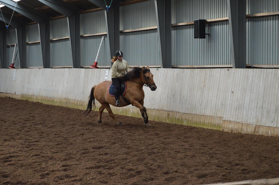 Anden særlig race Lukas billede 16