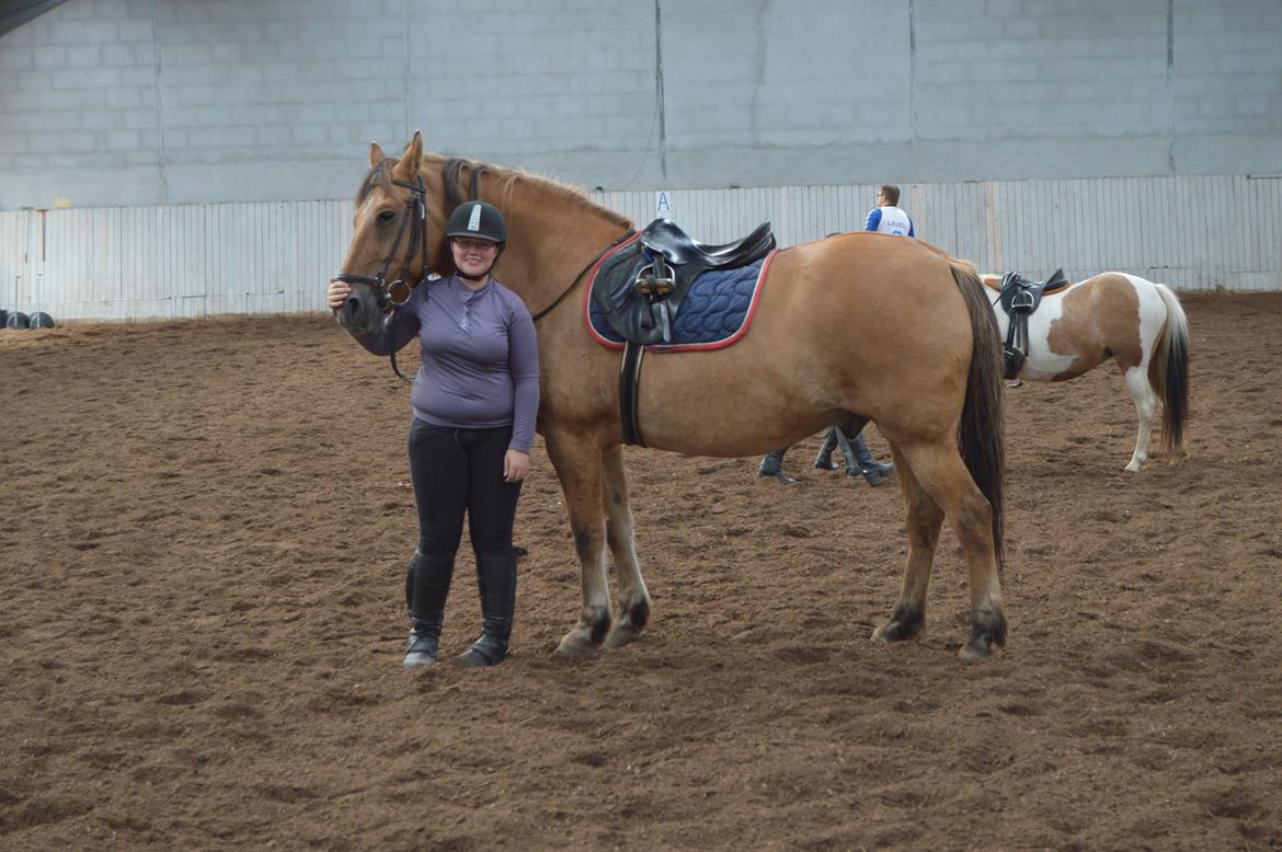 Anden særlig race Lukas billede 18