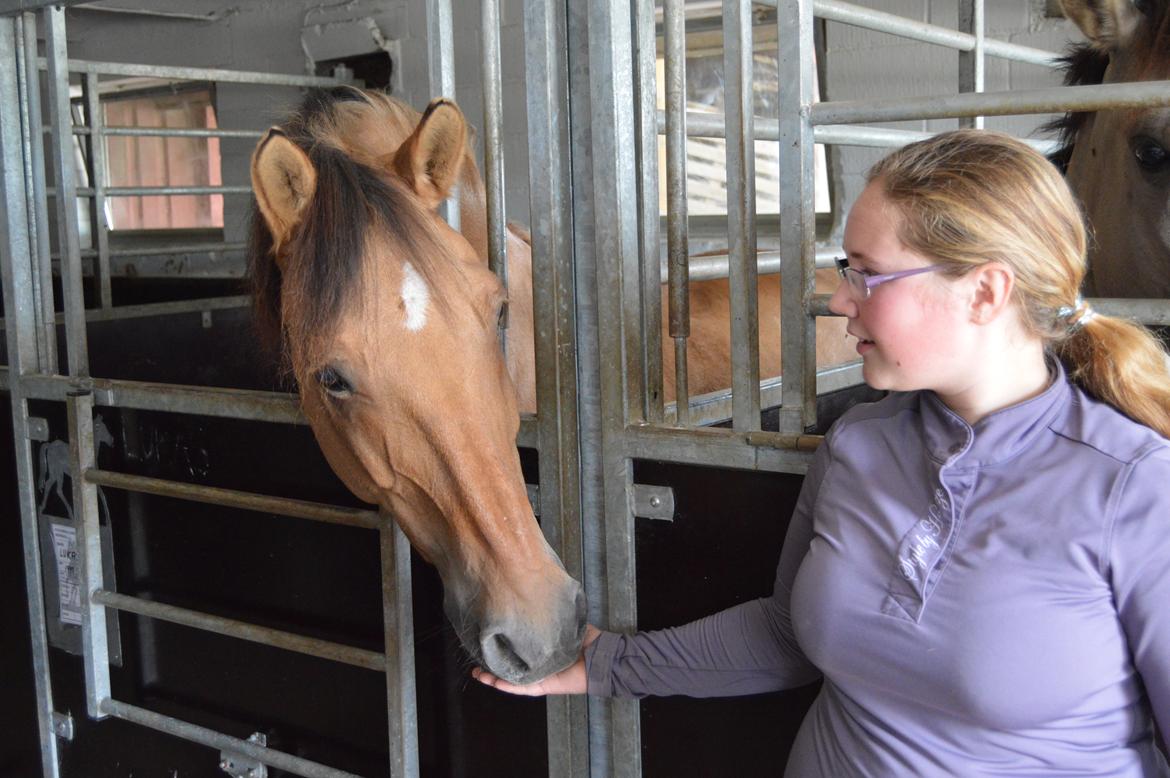 Anden særlig race Lukas billede 20