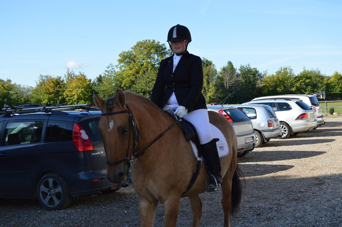 Anden særlig race Lukas billede 21