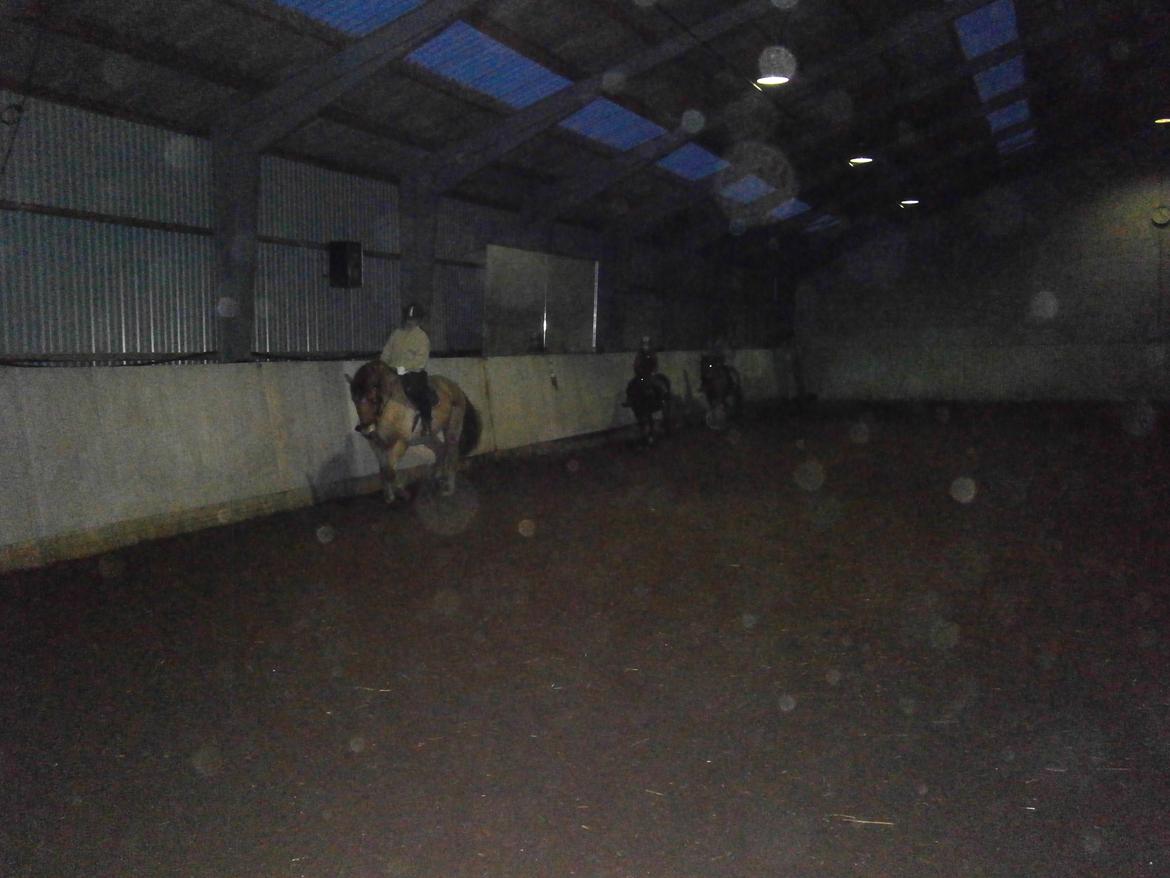 Anden særlig race Lukas billede 24