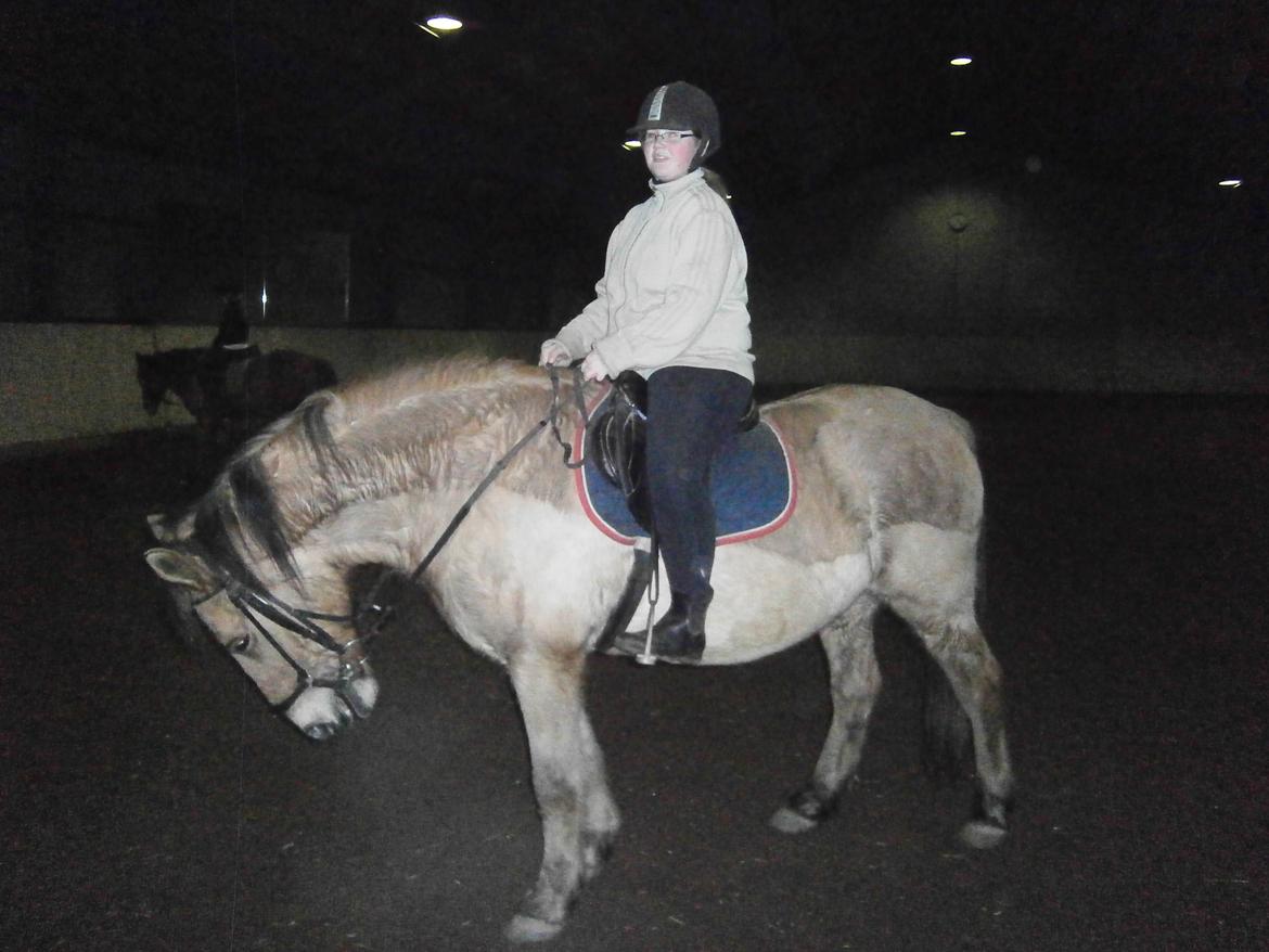 Anden særlig race Lukas - lige før vi skal af...puha jeg sveder (sådan står han tit når han slapper af) billede 25