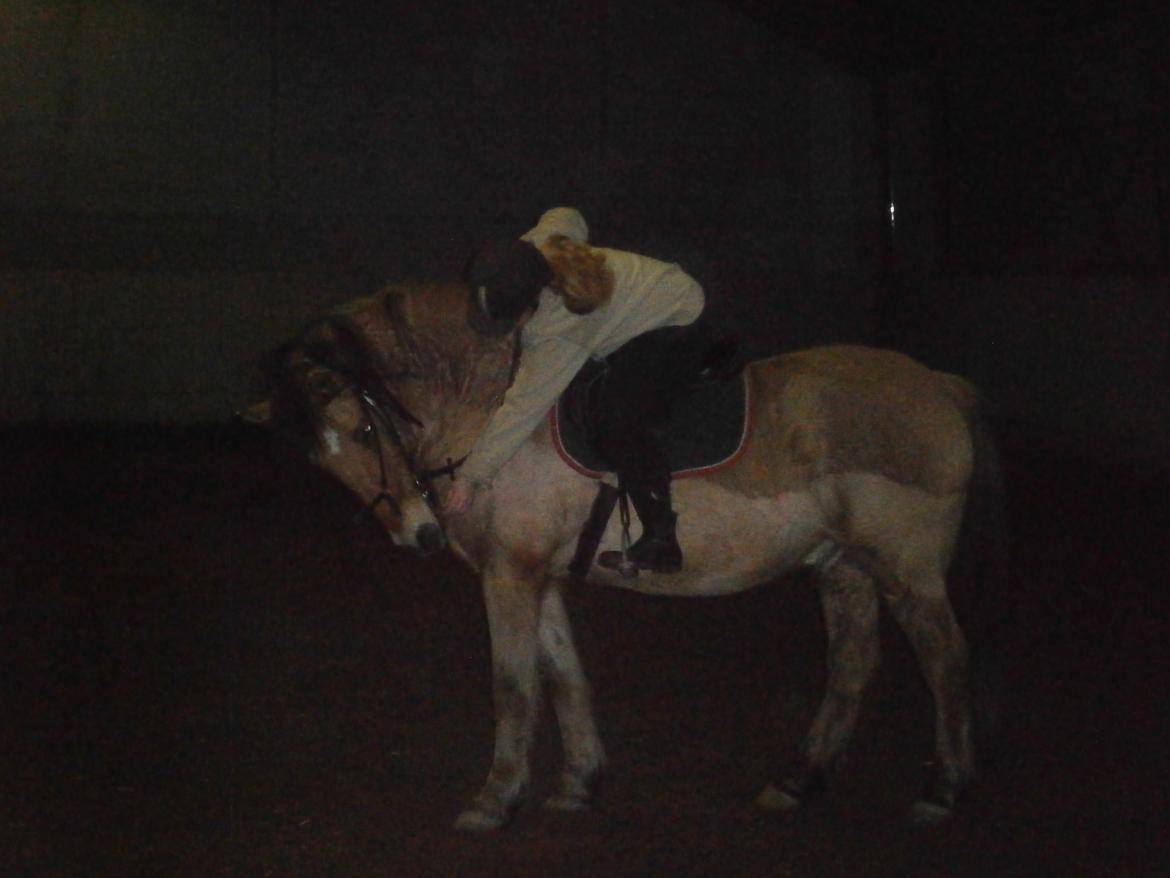 Anden særlig race Lukas - løsner næsebondet og får en guf mmmm billede 26