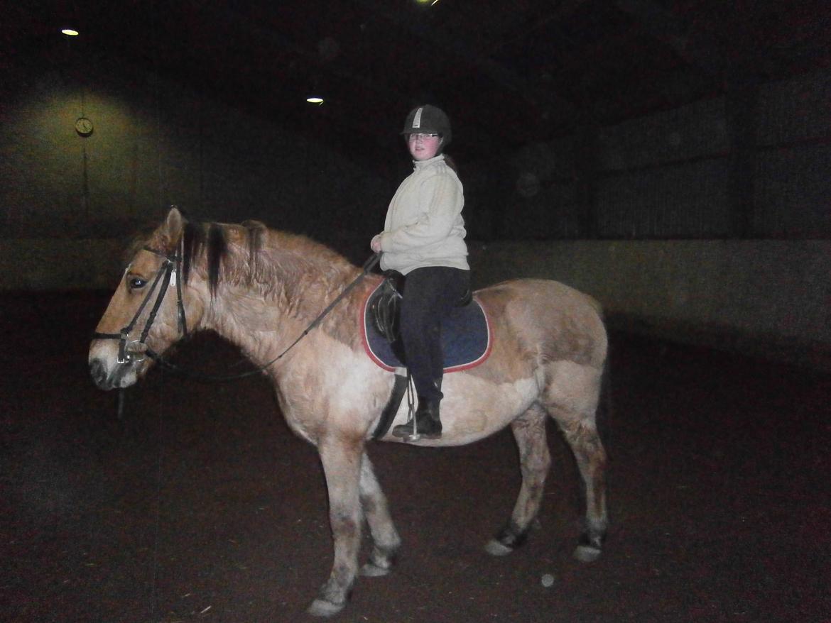 Anden særlig race Lukas billede 27