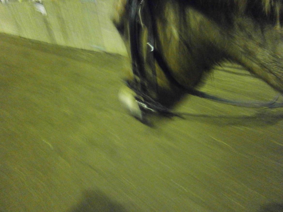 Anden særlig race Lukas billede 30