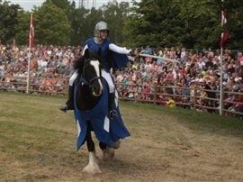 Shire Miss liva billede 12