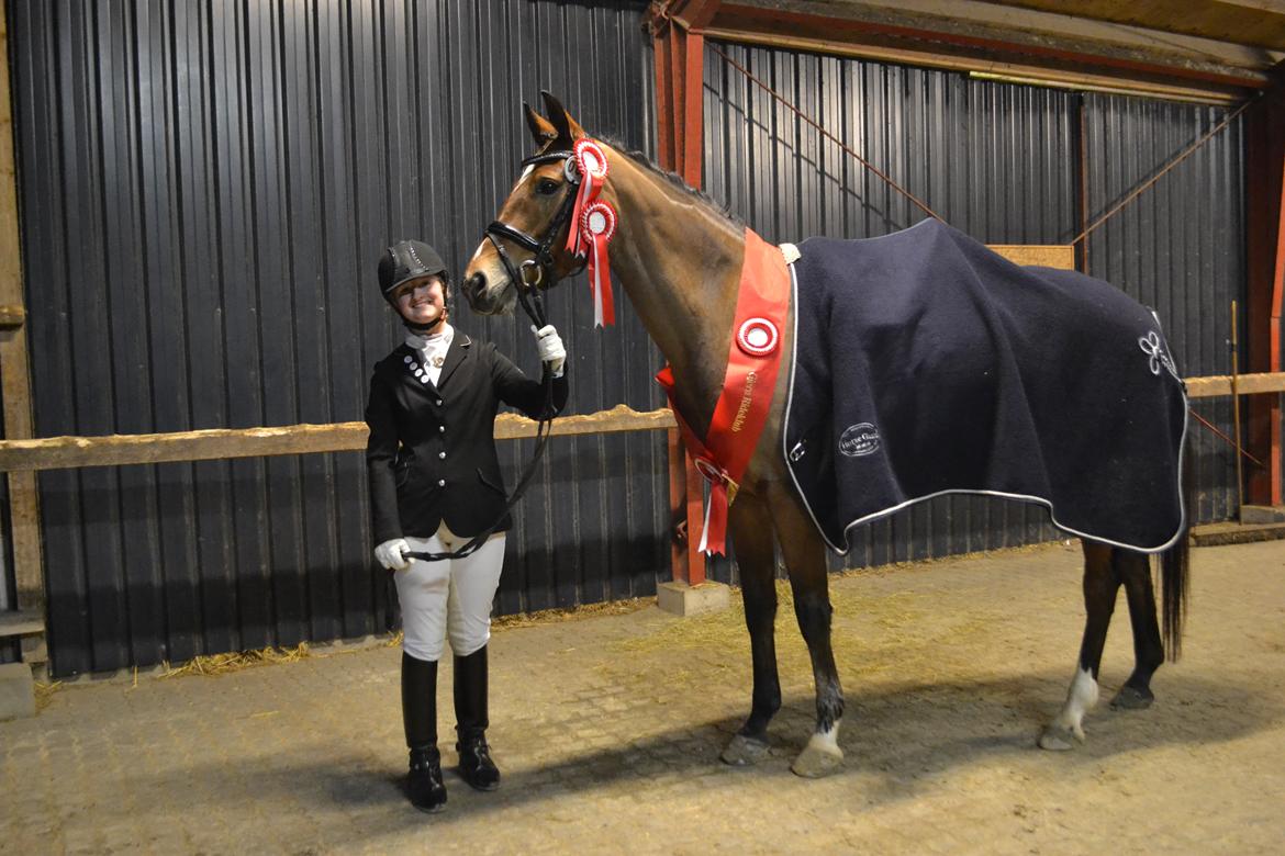 Dansk Varmblod Pierage - Vinder af LB3 m. 69,615%, vinder af LA1 m. 68, et eller andet og samlet vinder af Gjern Nytårs cup 2013!<3<3 billede 12