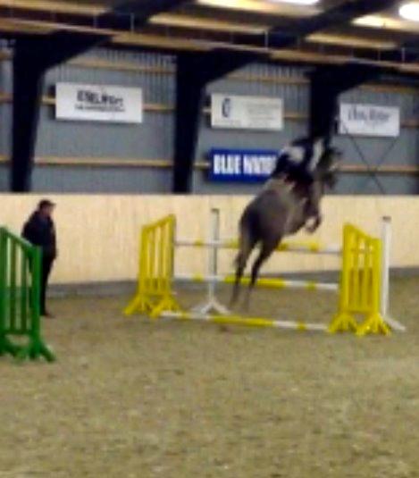 Dansk Varmblod Lamborghini LF - Spring undervisning - taget ud fra video.  billede 6