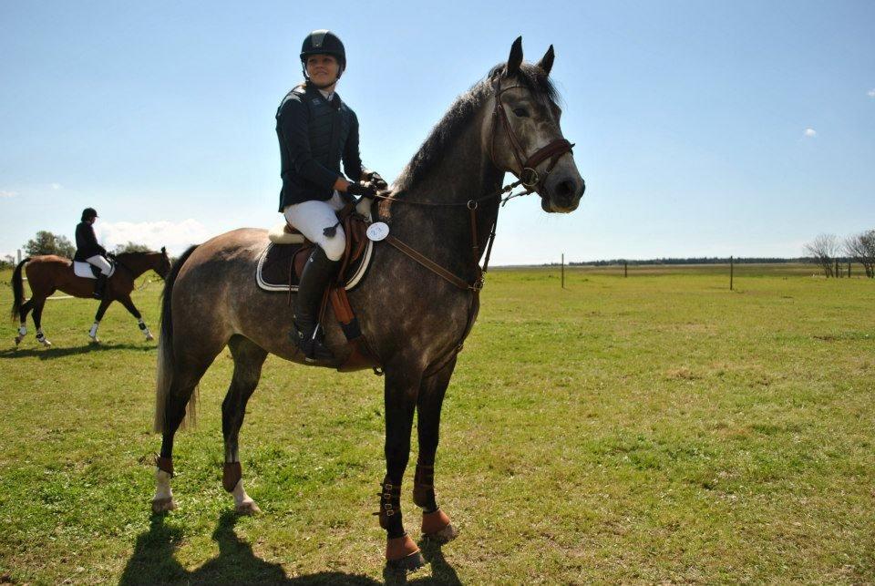 Dansk Varmblod Lamborghini LF billede 26