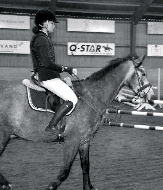 Dansk Varmblod Lamborghini LF billede 35