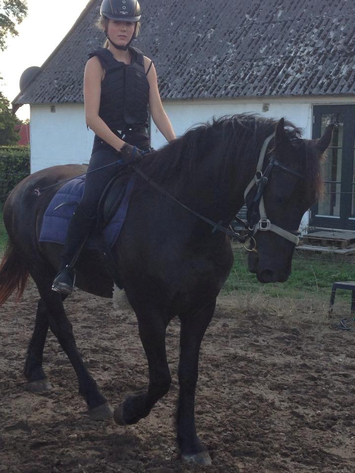 Frieser Viktor (Rider) billede 3