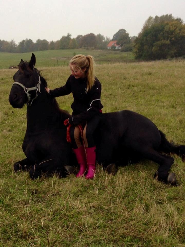 Frieser Viktor (Rider) billede 7