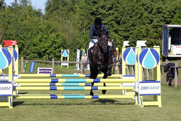 Anden særlig race Fromsmindes Kazmir billede 3