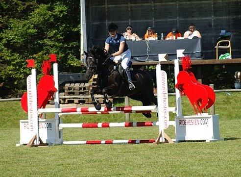 Anden særlig race Fromsmindes Kazmir billede 10