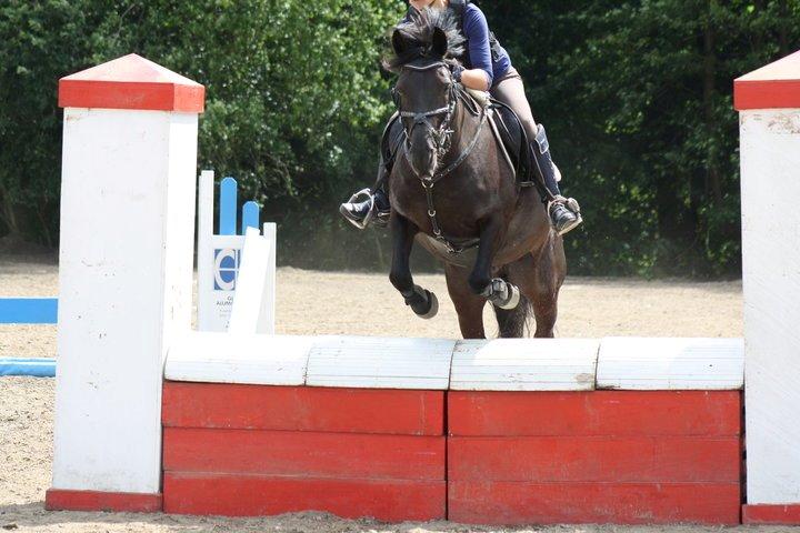 Anden særlig race Fromsmindes Kazmir billede 13