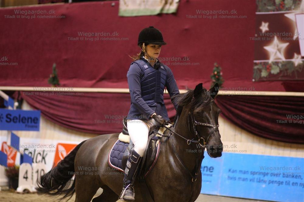 Anden særlig race Fromsmindes Kazmir billede 17