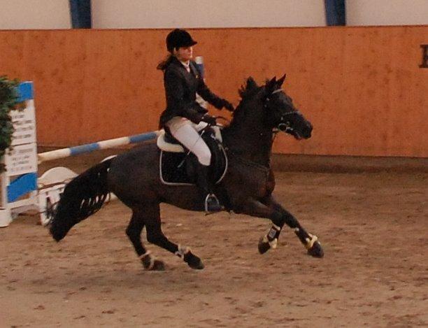 Anden særlig race Fromsmindes Kazmir billede 18