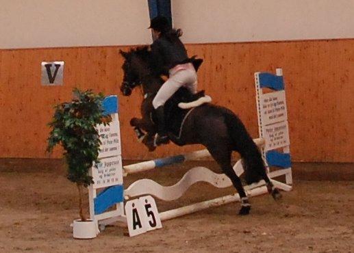 Anden særlig race Fromsmindes Kazmir billede 19