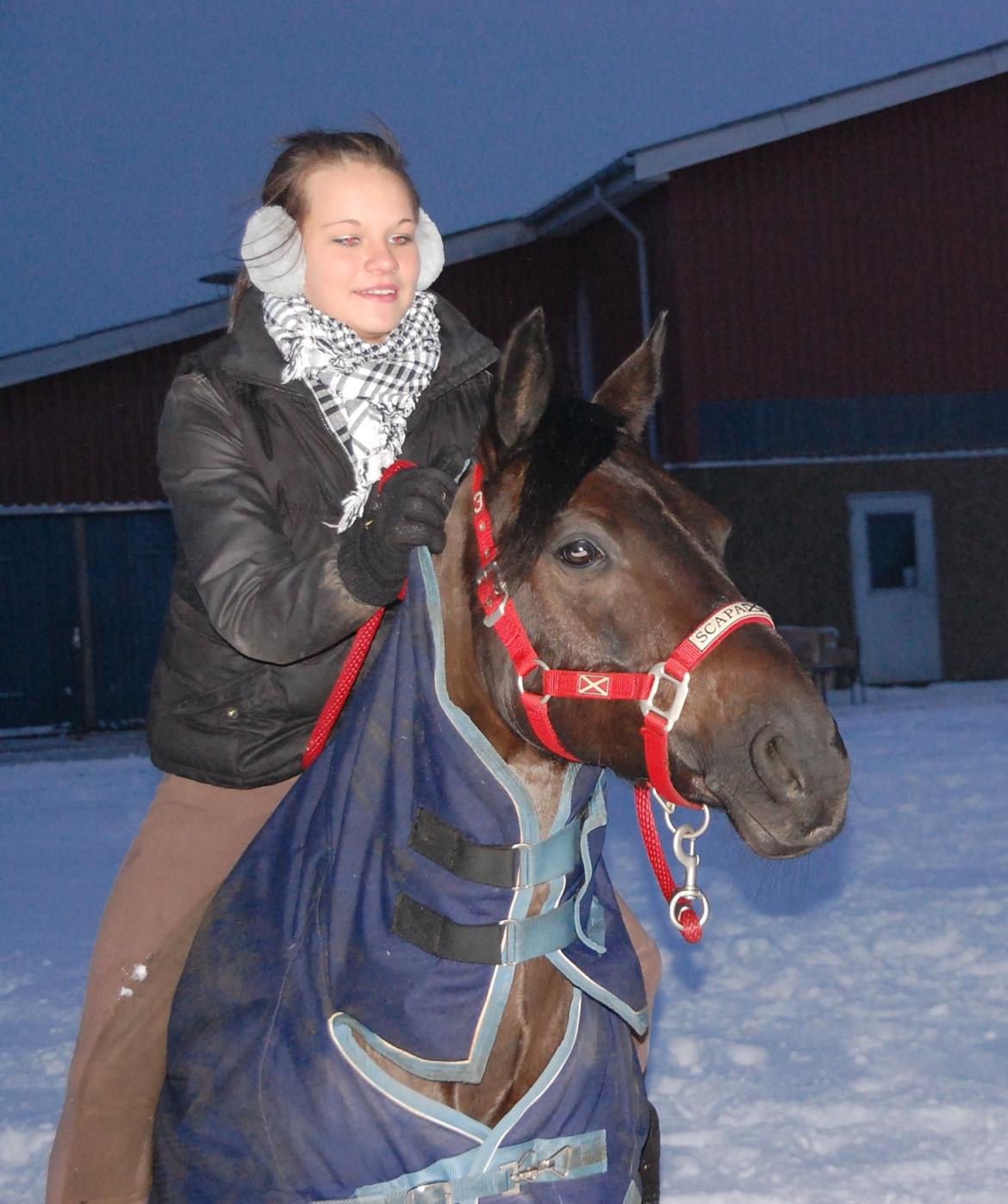 Anden særlig race Fromsmindes Kazmir billede 20