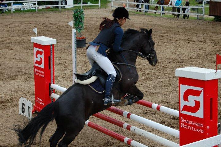 Anden særlig race Fromsmindes Kazmir billede 28