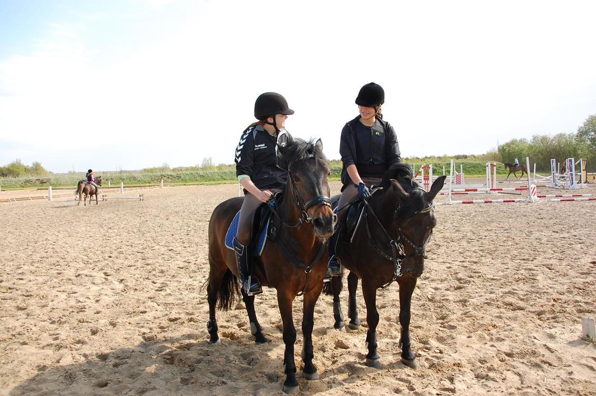 Anden særlig race Fromsmindes Kazmir billede 37