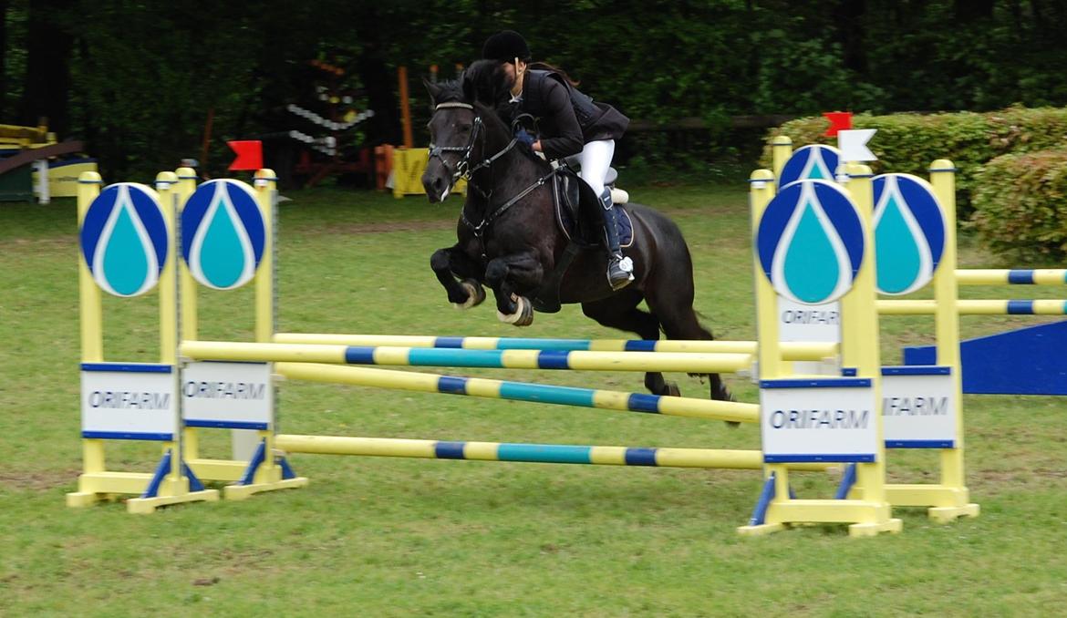 Anden særlig race Fromsmindes Kazmir billede 43