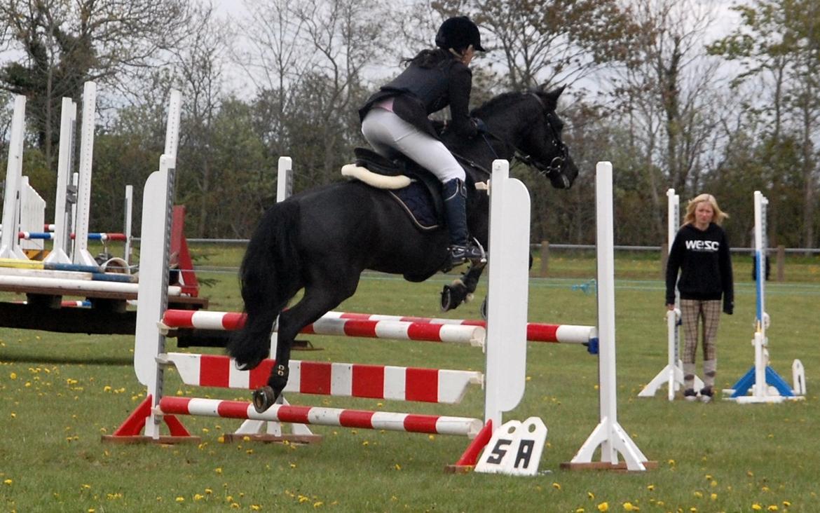 Anden særlig race Fromsmindes Kazmir billede 44