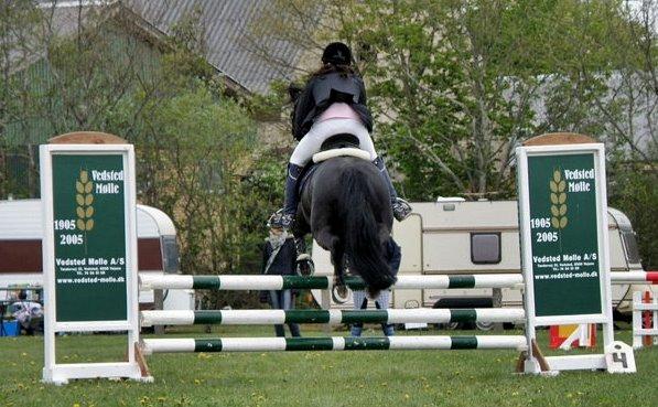 Anden særlig race Fromsmindes Kazmir billede 46