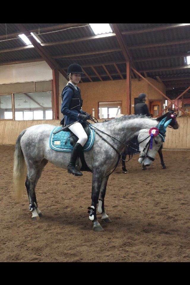 New Forest Marrondales Country Love - Velkommen til marrondales Country love (marronen) profil billede 7