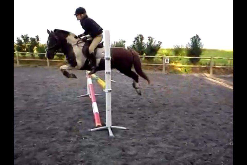 Anden særlig race Sally billede 13