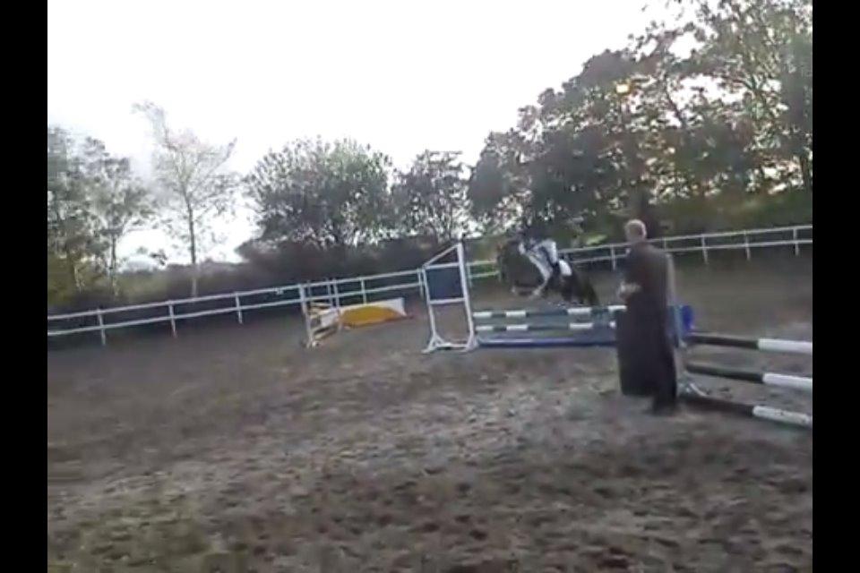 Anden særlig race Sally billede 16