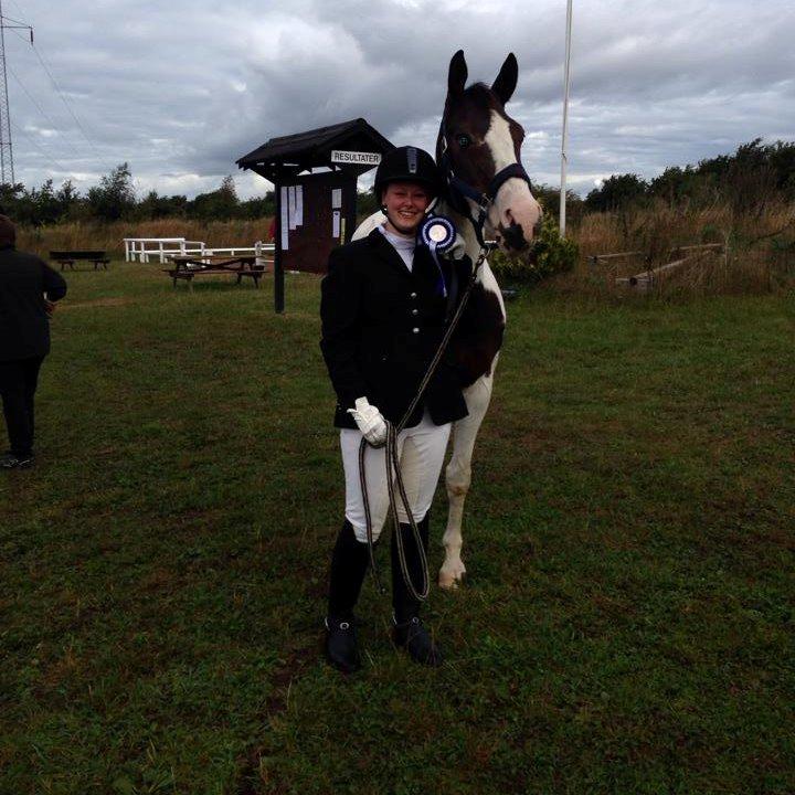 Pinto Aslak India - V. Hassing 67,7%
2 plads billede 22