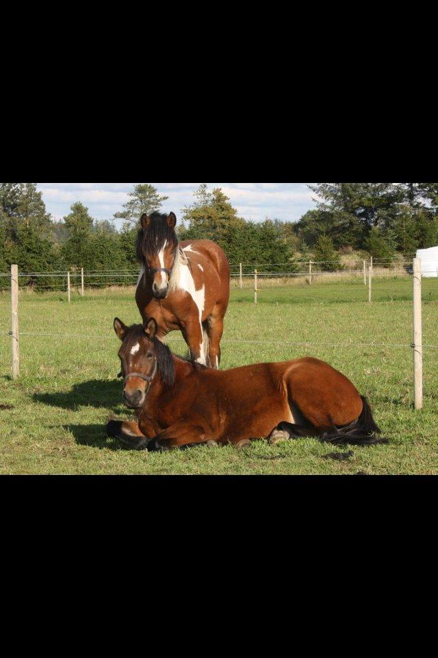 Tinker Kenzo  - Mor og drengebarnet. billede 1