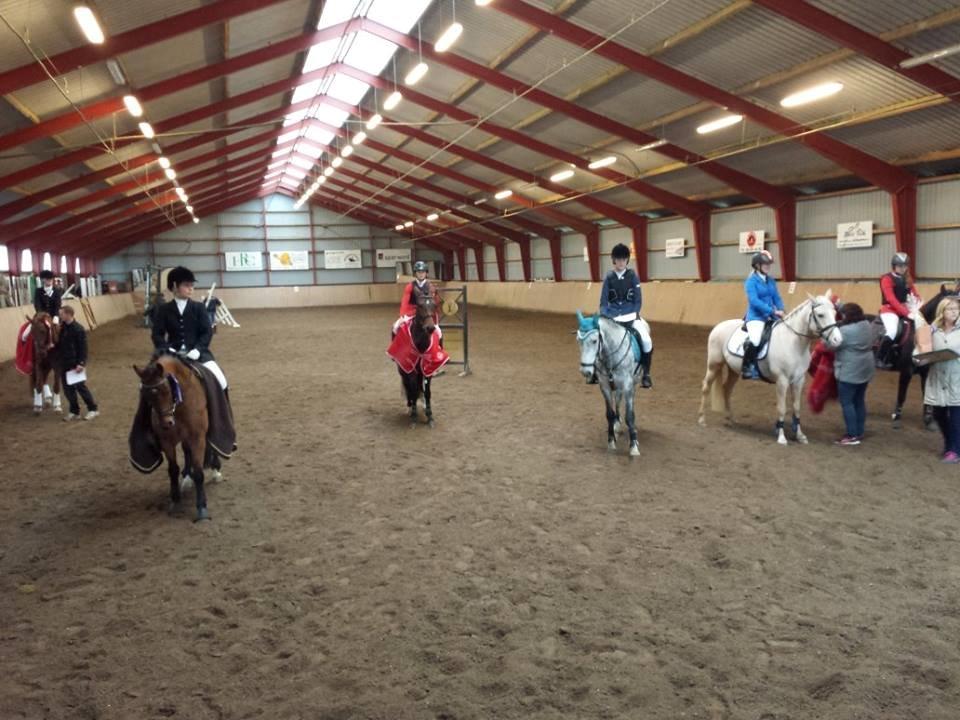 New Forest Marrondales Country Love - da marronen fik sit R til championat billede 18