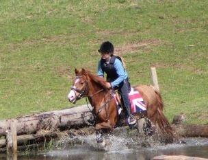 Welsh Pony (sec B) Avalon billede 7