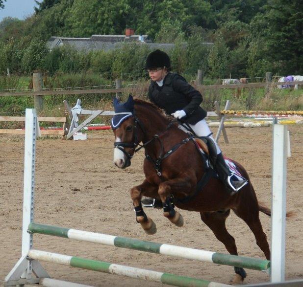 Welsh Pony (sec B) Avalon - stævne ude på Molger rideklub billede 10