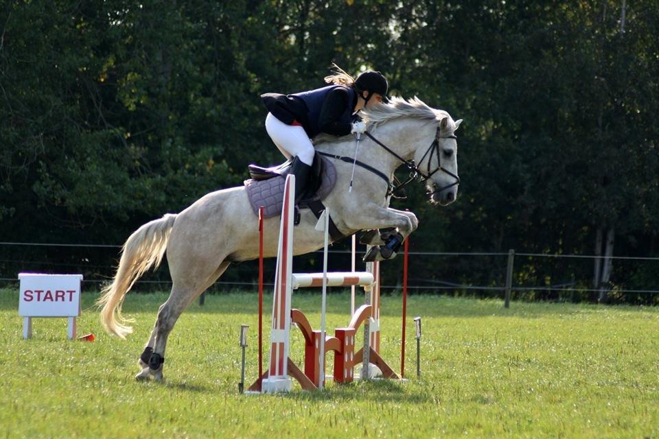 Anden særlig race silver (Min bedste ven) <3 -  SEJESTE SPRINGPONY!! <3 <3 <3 billede 3