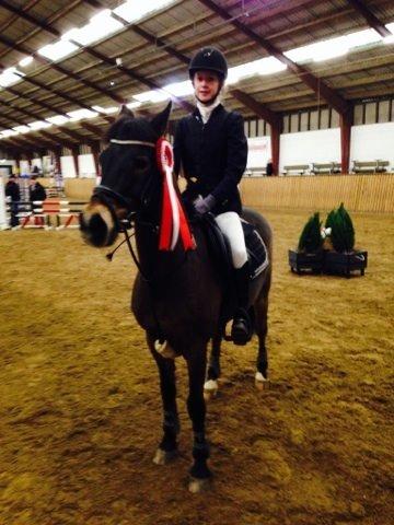 New Forest Elmerhøjs Bastian billede 13