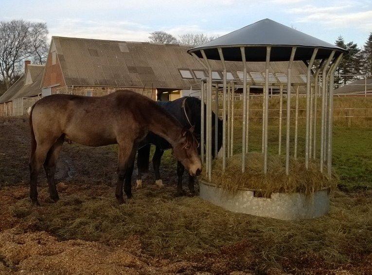Anden særlig race Klitgaards Maximilian*R.I.P* - Bobber drengen Jan 2014 billede 25
