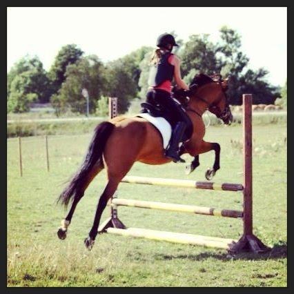 DSP Troja min dejlige part! billede 11