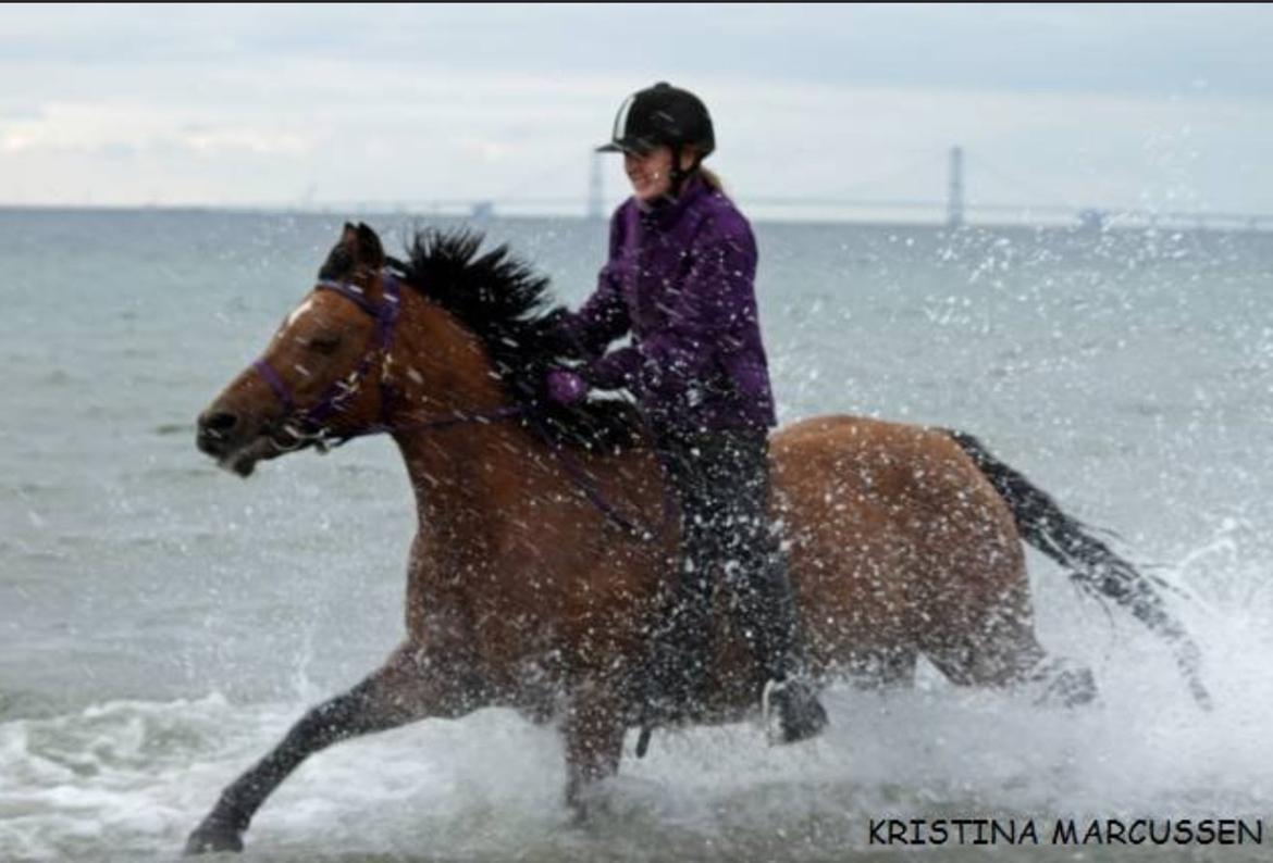 DSP Troja min dejlige part! billede 13