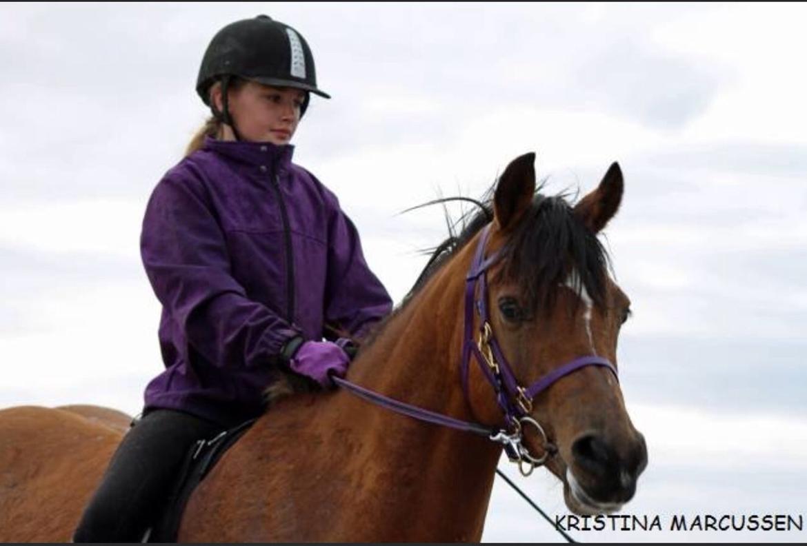 DSP Troja min dejlige part! billede 14