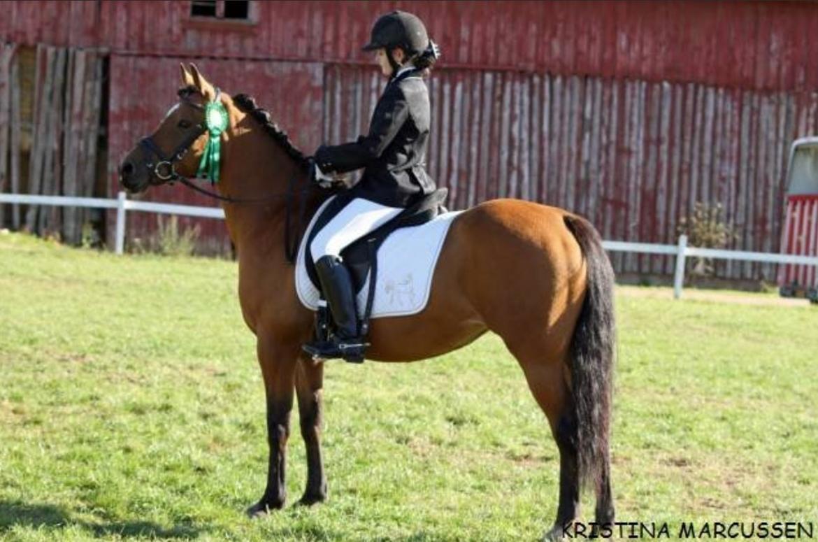 DSP Troja min dejlige part! billede 15