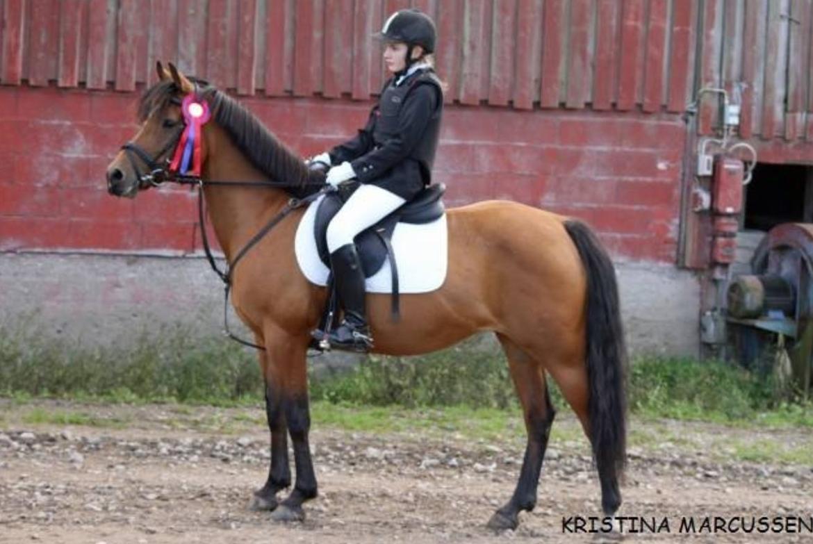 DSP Troja min dejlige part! billede 16