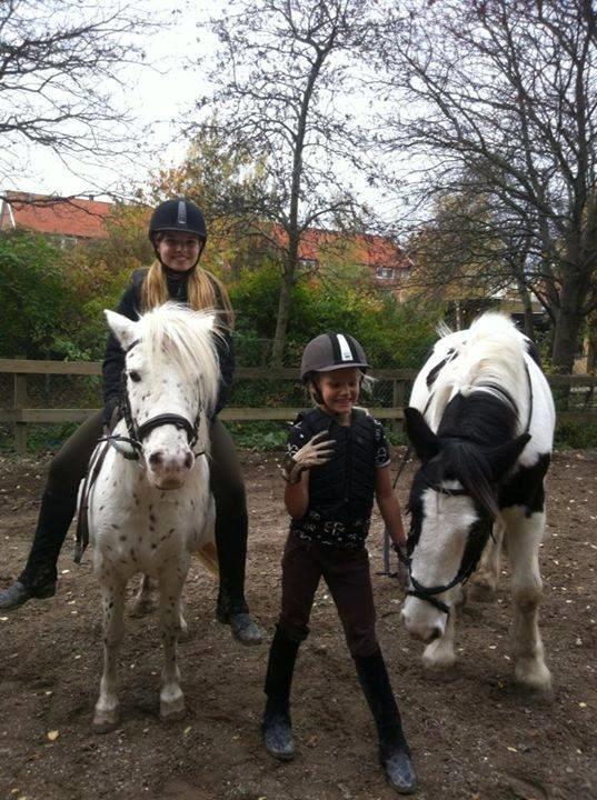Knabstrupper Susi af Kaldred *Prinsessen* - 26/10-13 | Tanja, Ib, Mini og jeg. Verdens bedste team! <3 billede 24