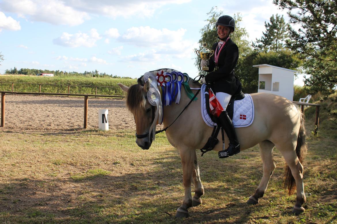 Fjordhest Fønix Elsa - Ida og Elsa sølvvindere, til Danmark - og Nordiske mesterskaber for fjordheste. billede 11