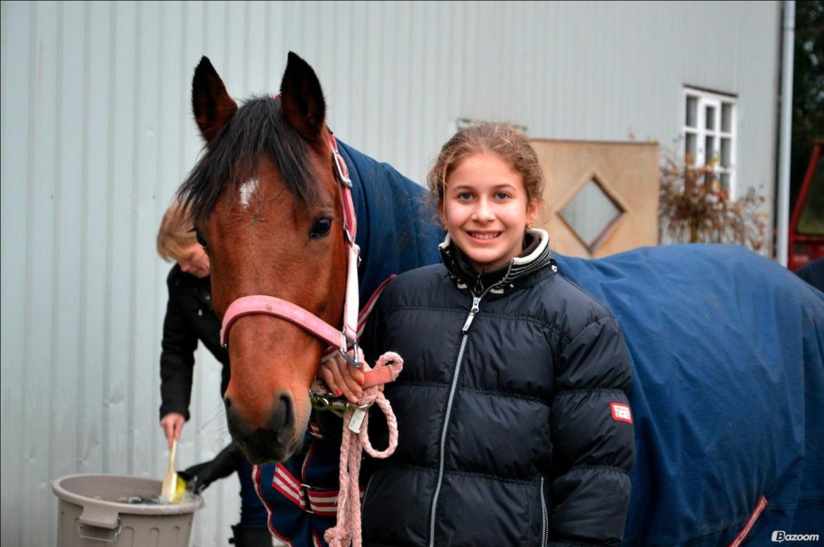 DSP Nikita billede 45