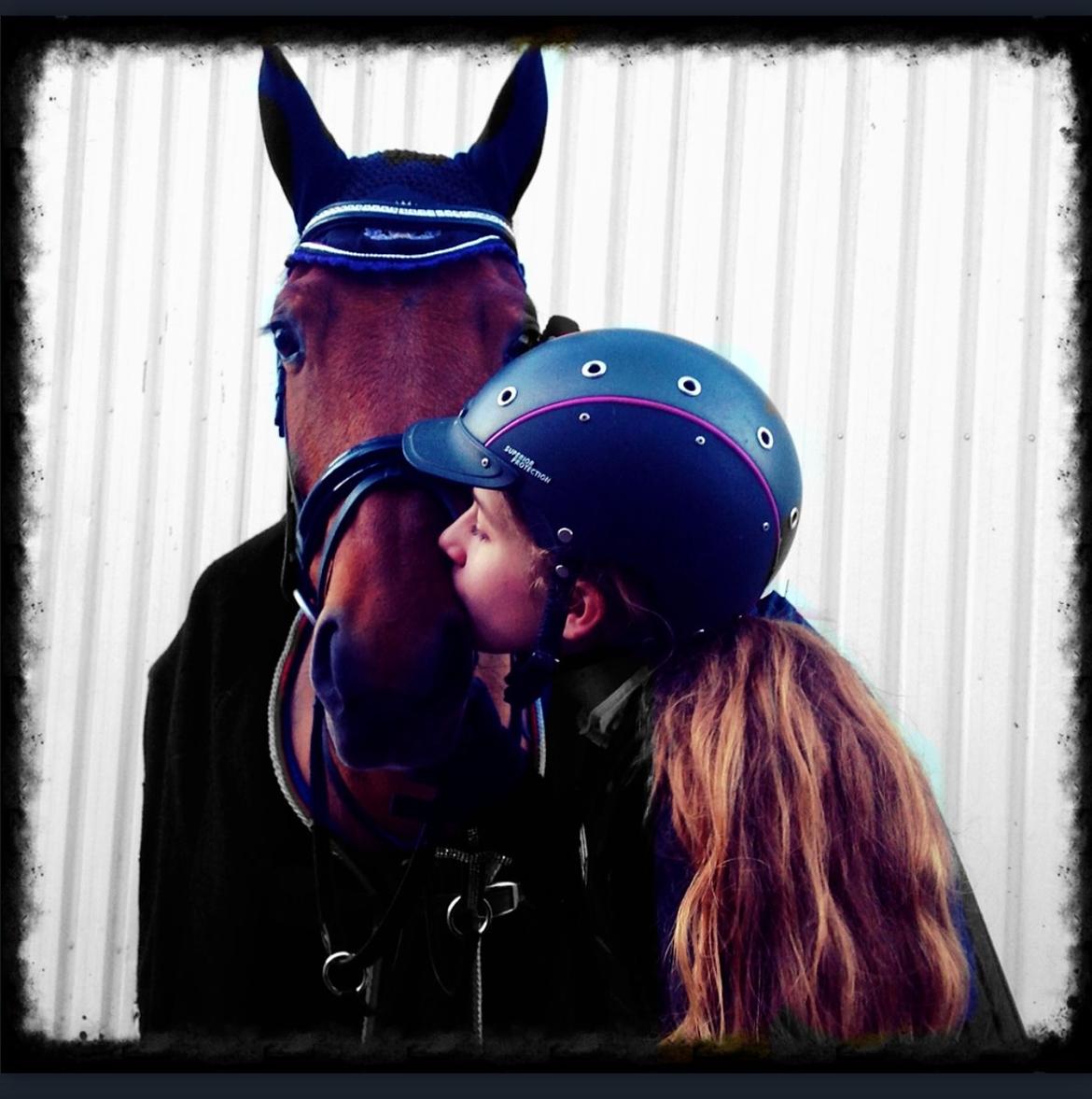 DSP Nikita billede 48